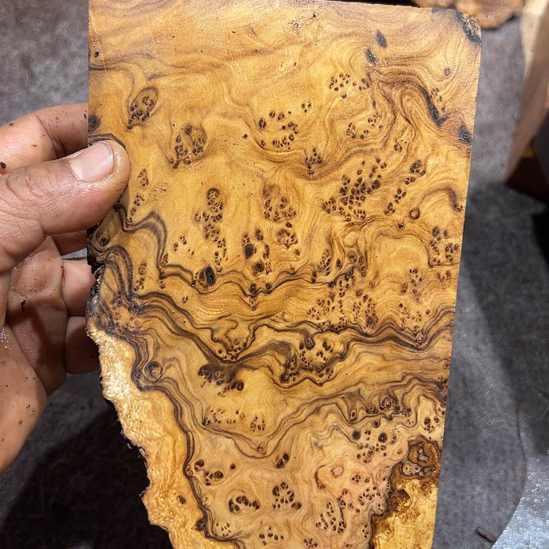 非洲檀香其他滇***熙