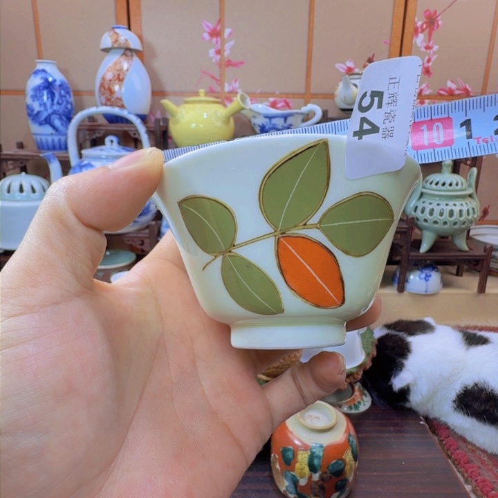 碗54啊啊啊啊啊啊啊啊啊啊啊啊