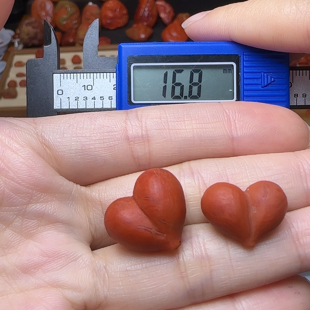 南红玛瑙未镶嵌颈饰