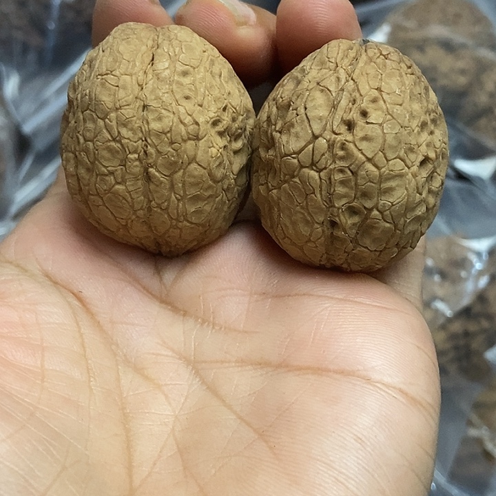 文玩核桃把件云南铁核桃基地8