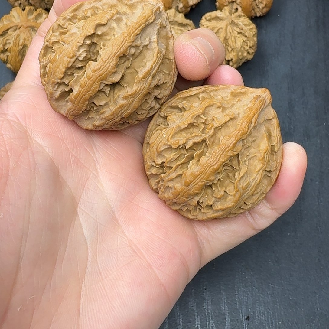 桃木突突突突突突突突突