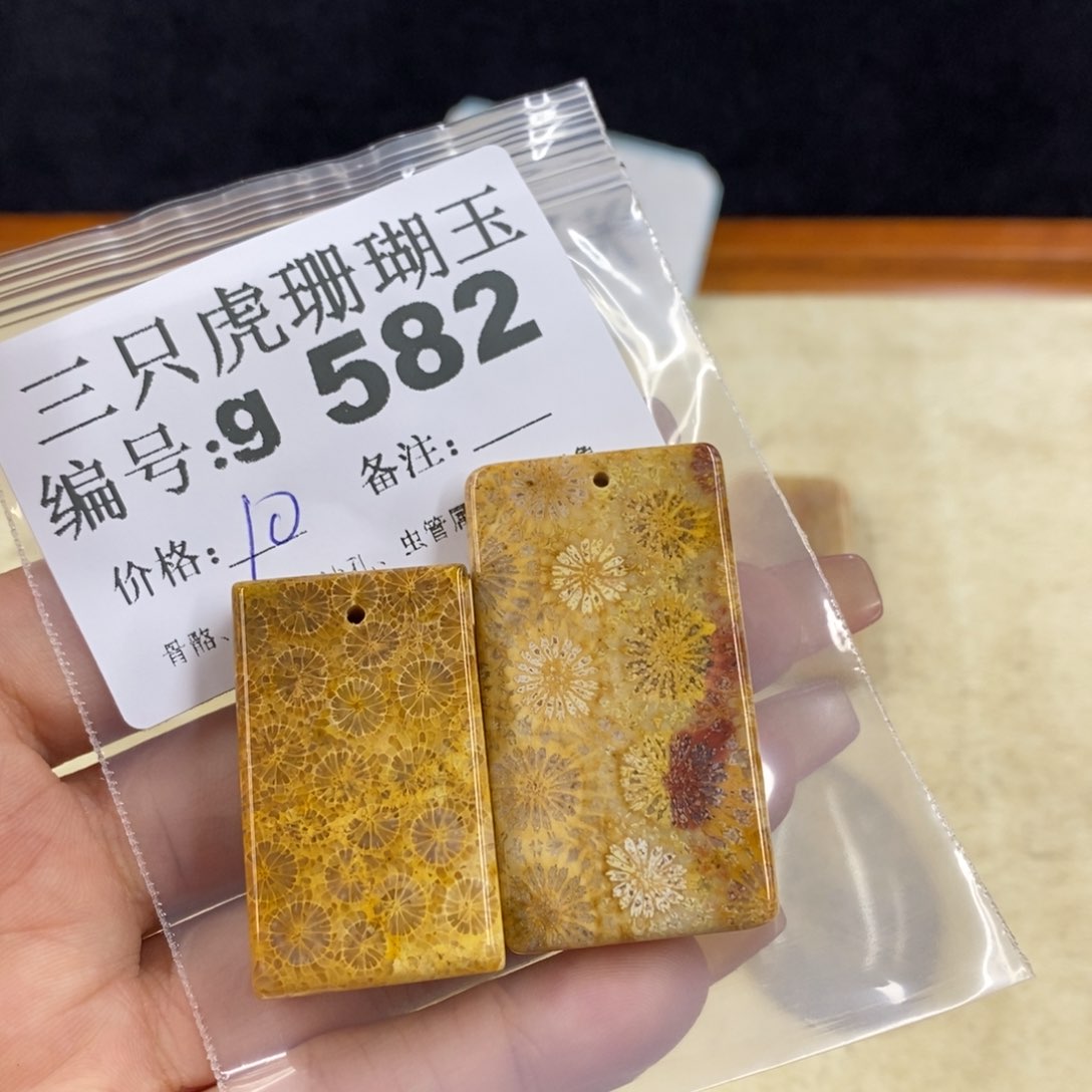 硅化珊瑚（珊瑚玉）未镶嵌11*灯