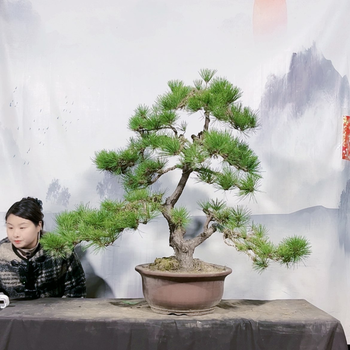 【闪购商品】无花朵运费自理