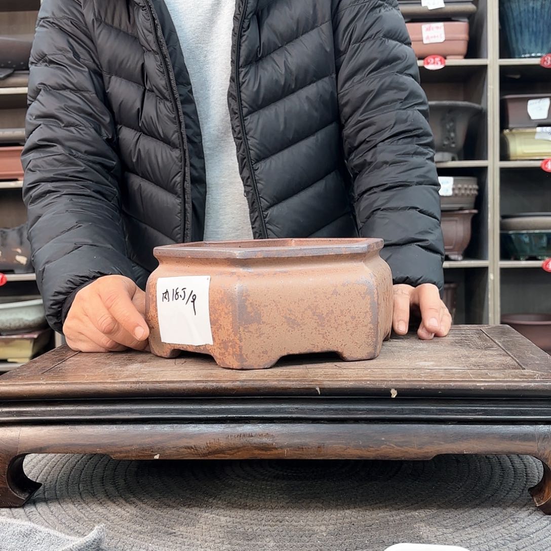 紫砂花盆紫砂的颜色很好看