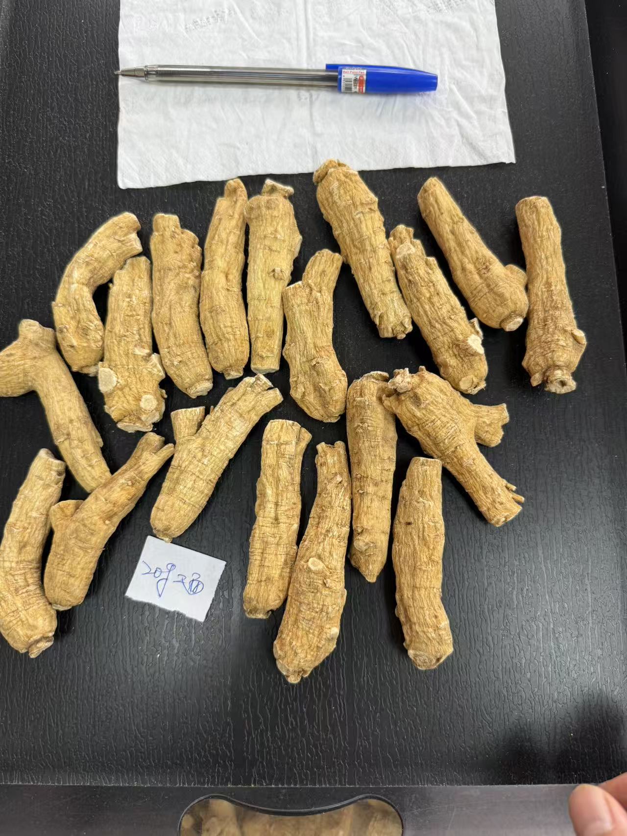 1.4~1.6Cm西洋参片 加拿大进口西洋参 洋参 直播间手工切 参味好