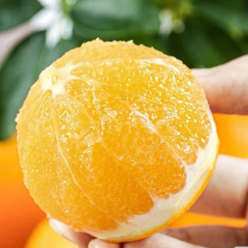 湖南麻阳冰糖橙甜橙新鲜现摘应季水果