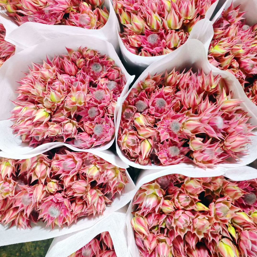 【南非新娘花】全场鲜花任意满两单送配草 三单送玻璃花