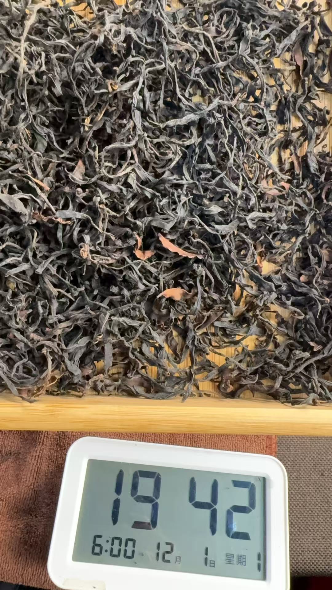 2025年《永德大雪山》100g春茶野生红茶【251201-03-030】