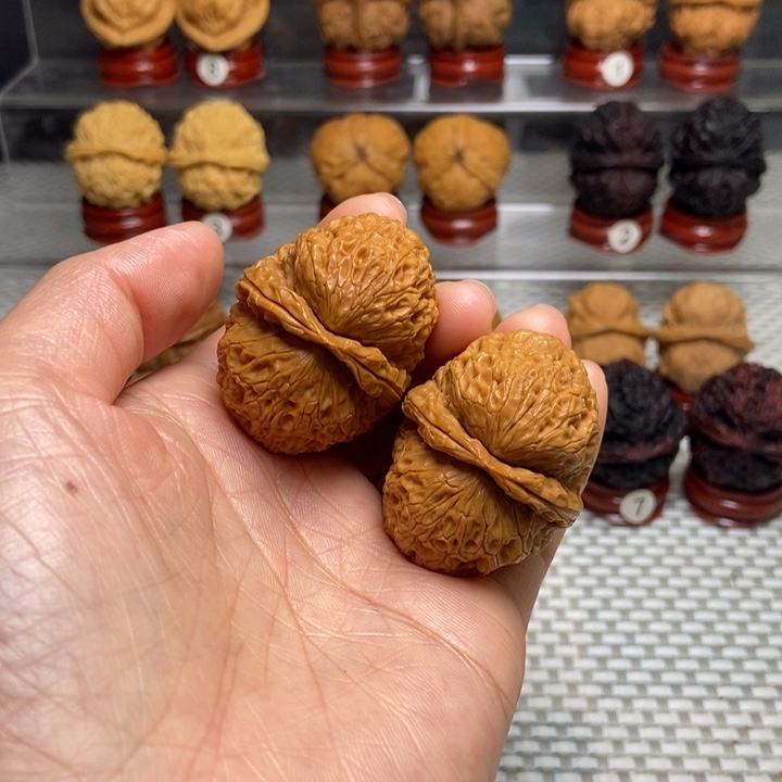 文玩核桃把件41食蚁兽