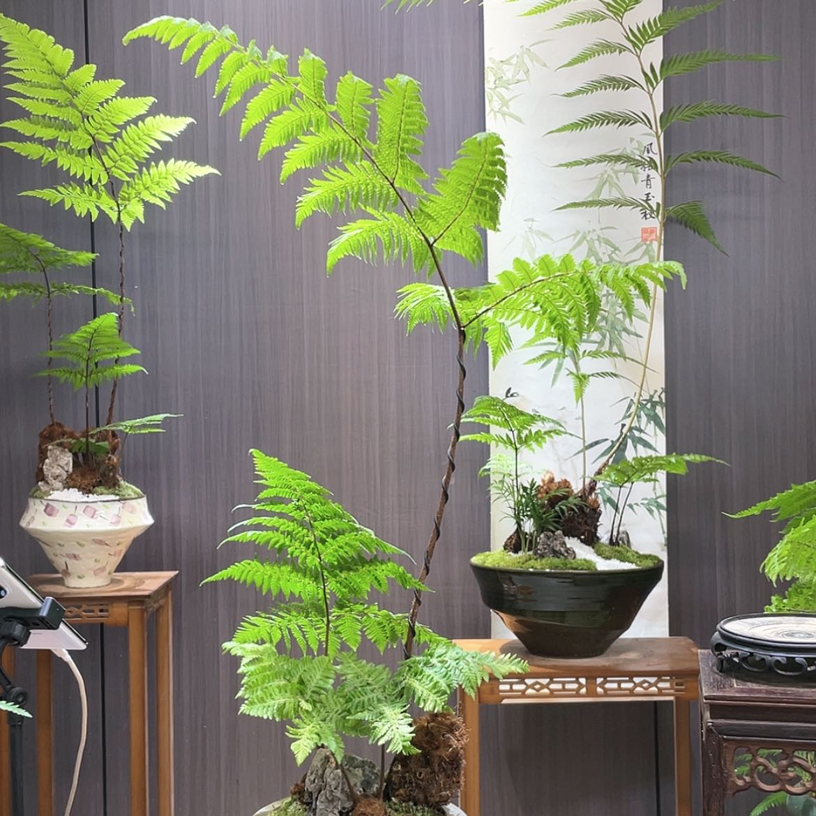 【闪购商品】何*败