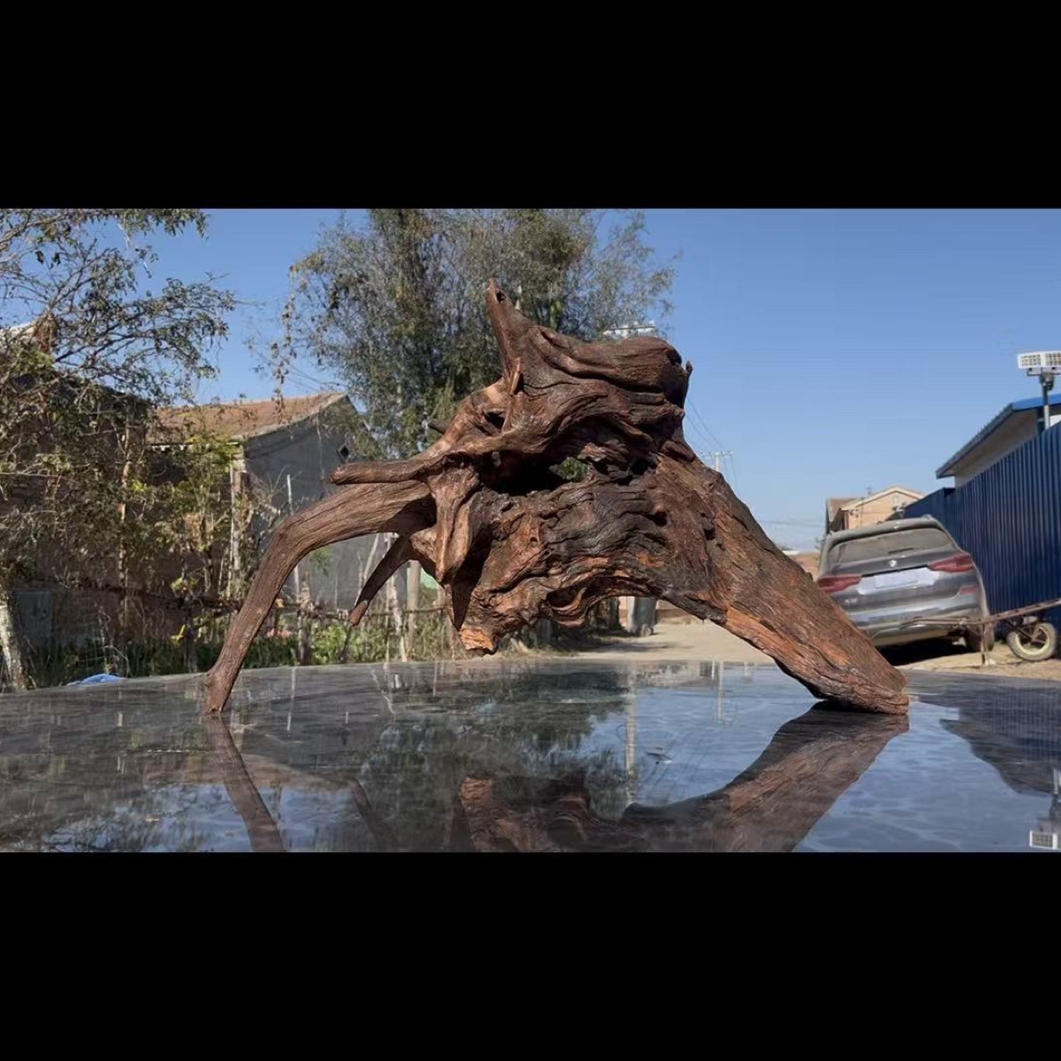 尺寸76×23×43 鱼缸造景沉木摆件，紫柚木，秒沉水，包煮，溪流缸