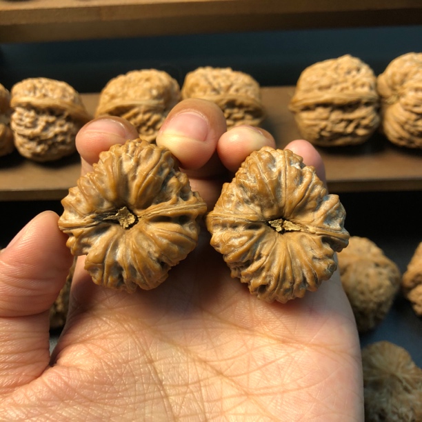 【平谷凹底】35尺寸