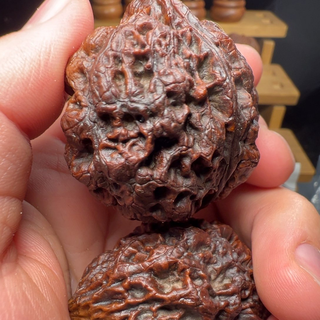 文玩核桃吊坠霸王龙45mm