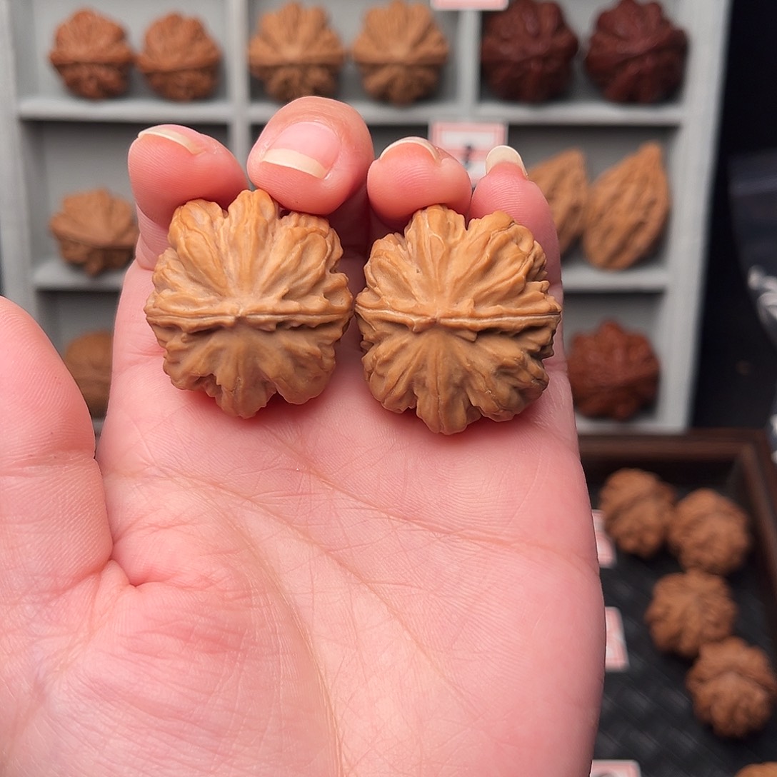 *****文玩核桃把件北极星Z