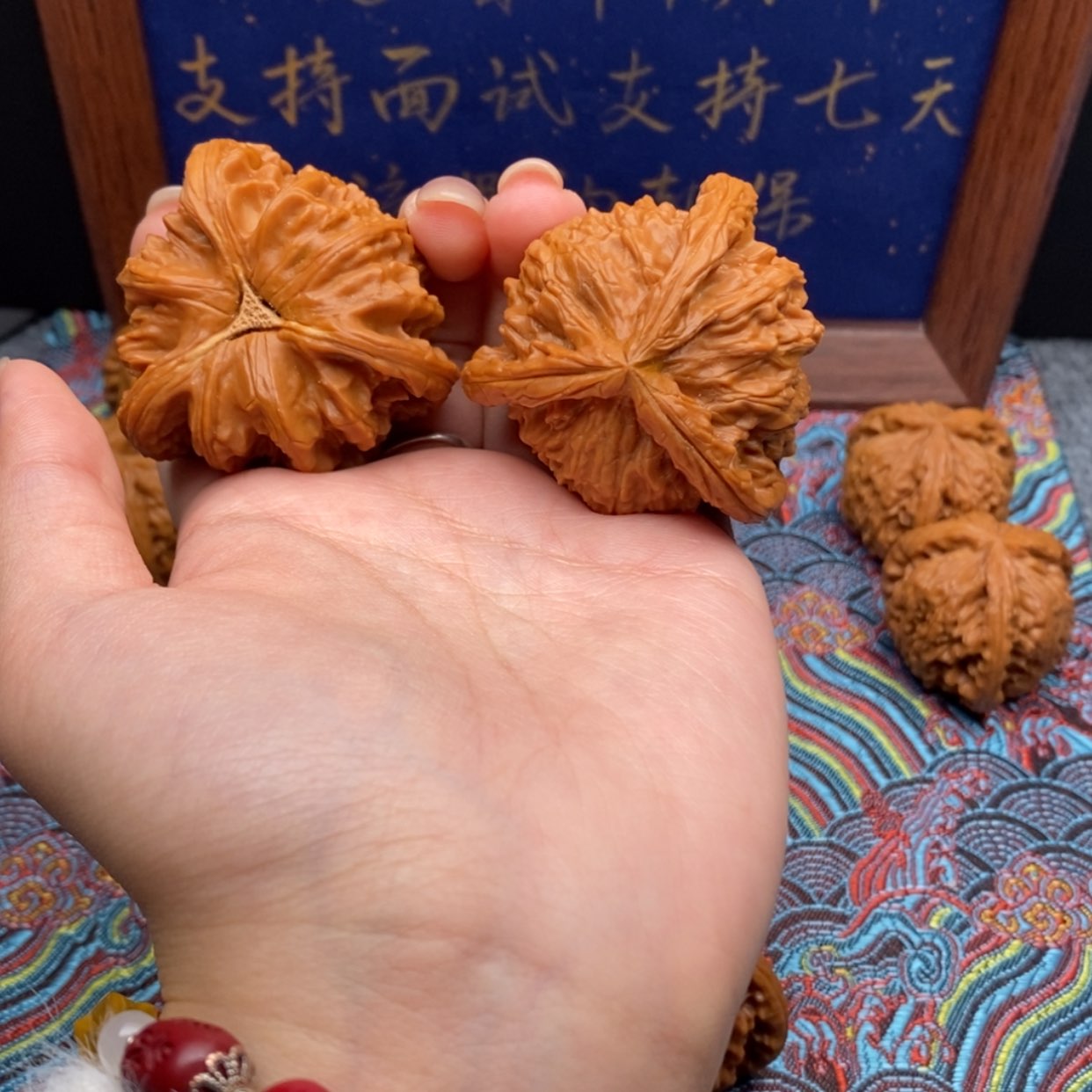 【闪购商品】狮*白狮