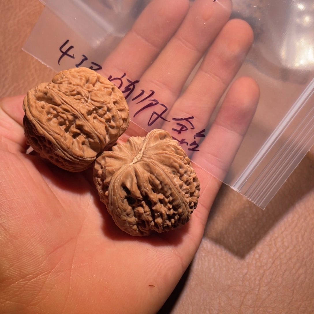 核桃手串/手链444