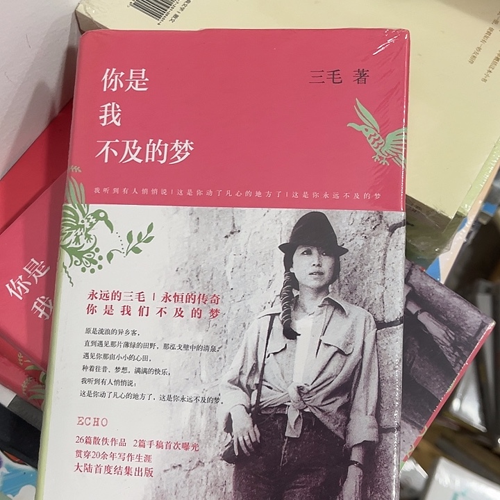 你是我不及的梦五米一个