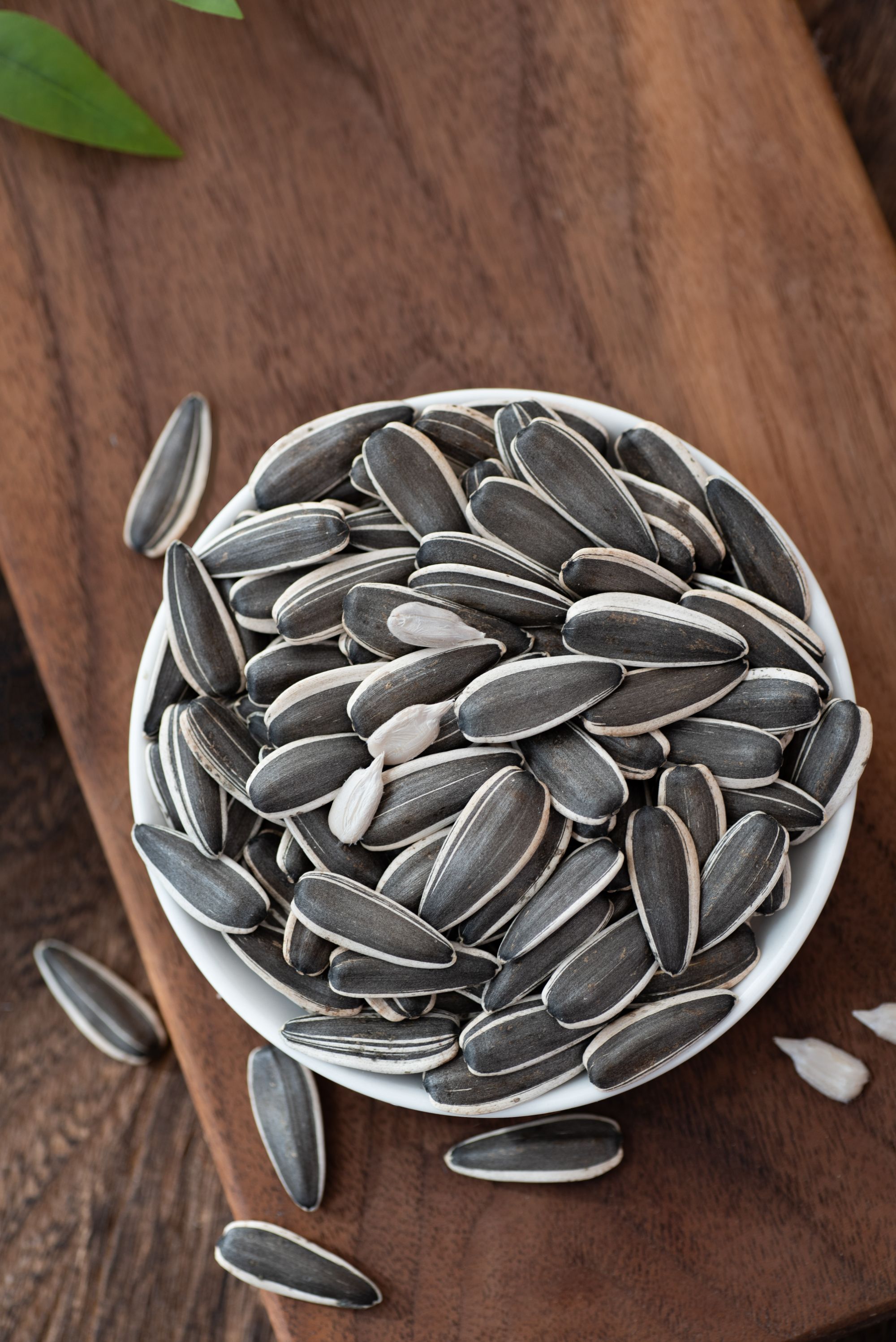 巴彦淖尔原味生葵花籽原味瓜子新货休闲零食瓜子大颗粒（中大粒）