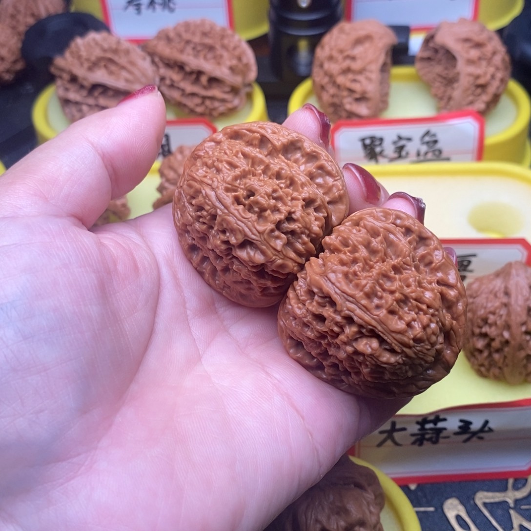 菩提籽类三角疆南疆