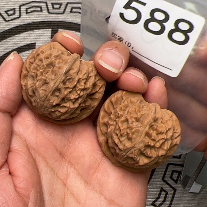 核桃全品38尺宫灯588