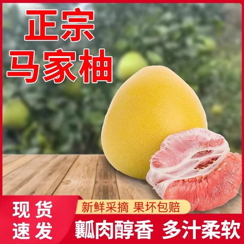 正宗红心马家柚果肉饱满汁水充足当季现摘