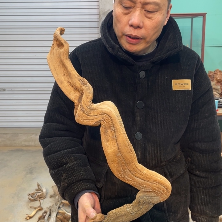 金**辉我们都是好孩子呀