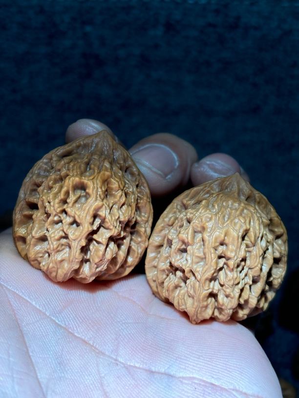 精品盘龙虎头（反油）慎拍