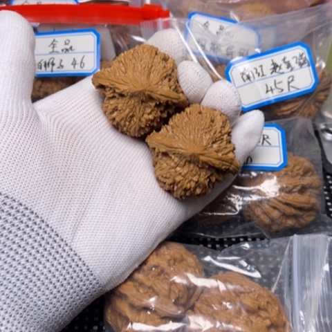 文玩核桃把件满天星43