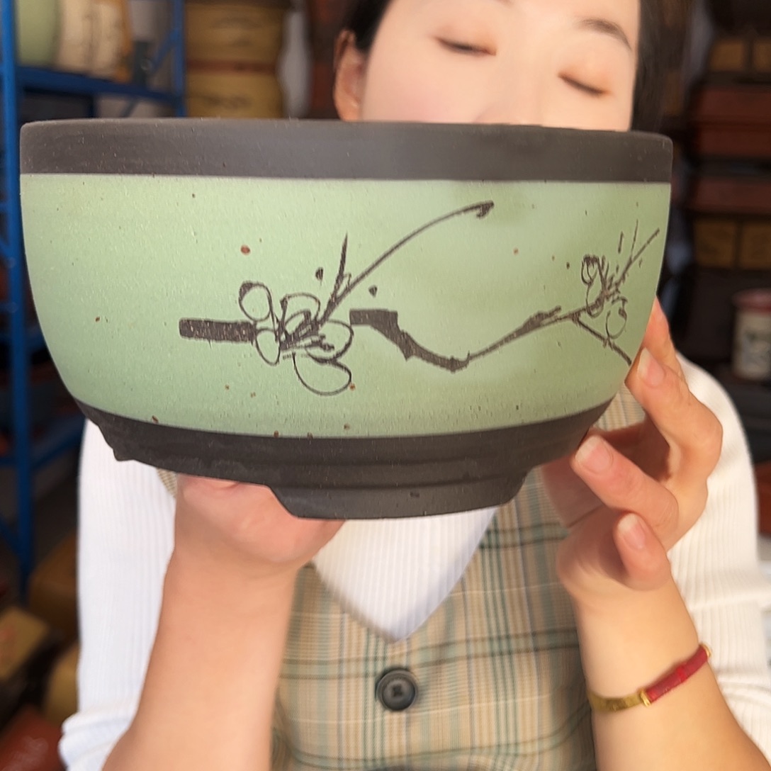 苹果绿萝小花盆花盆花盆花盆花盆