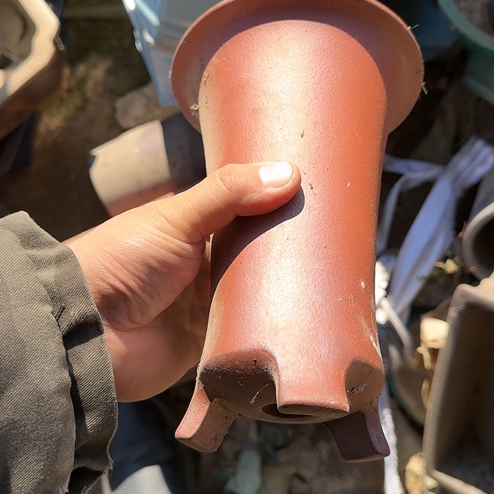 这里就让大家在网上给他们发信息聊天啊你