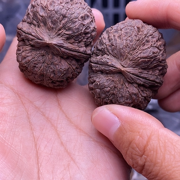 用***3文玩核桃把件   125