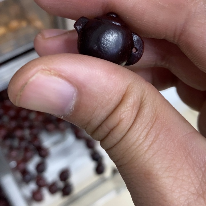 核桃木/黑胡桃（胡桃木）手串/手链