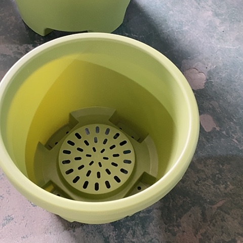 树脂球根绿色口径26无托5个