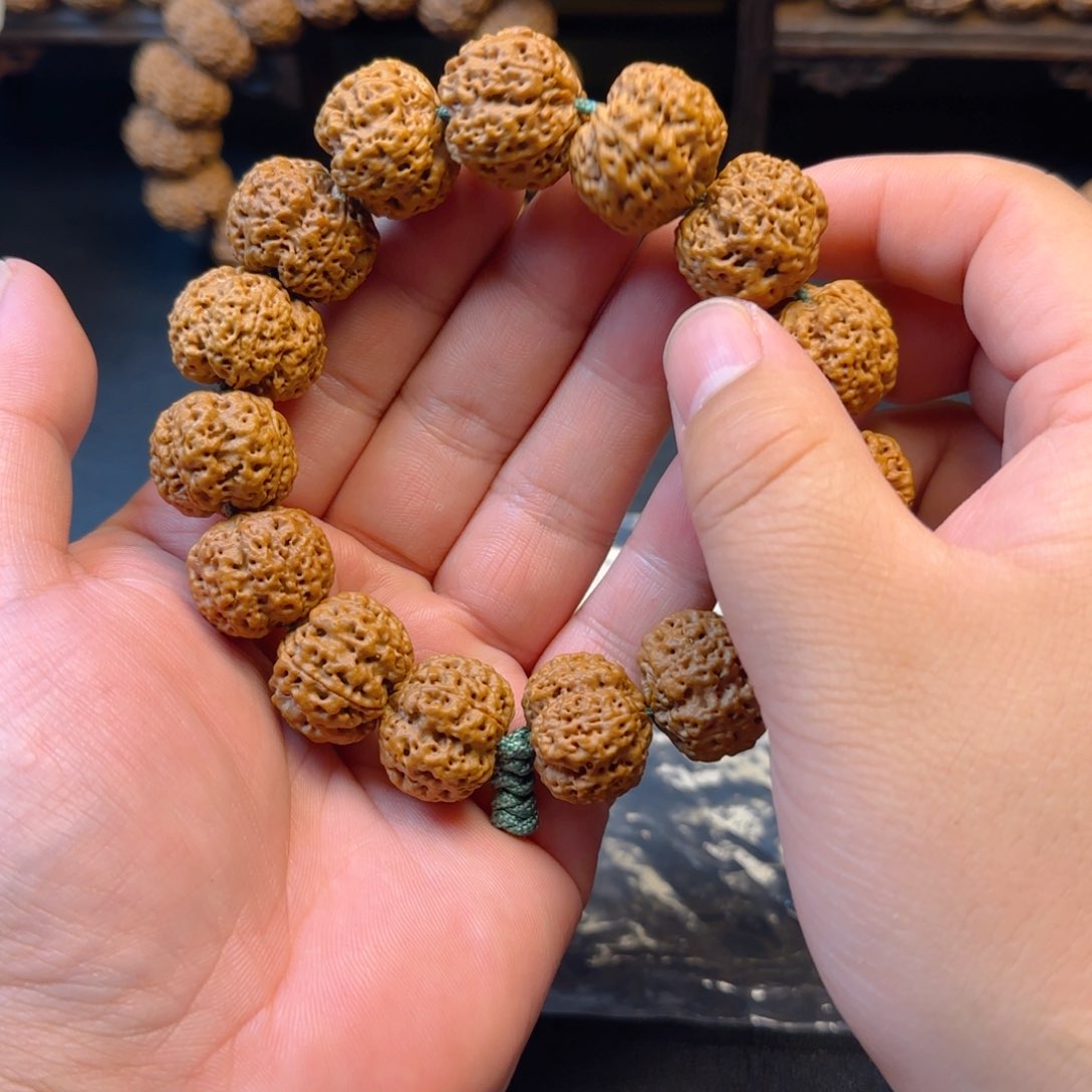 金刚菩提手串仁**仁最强梅花金刚菩提