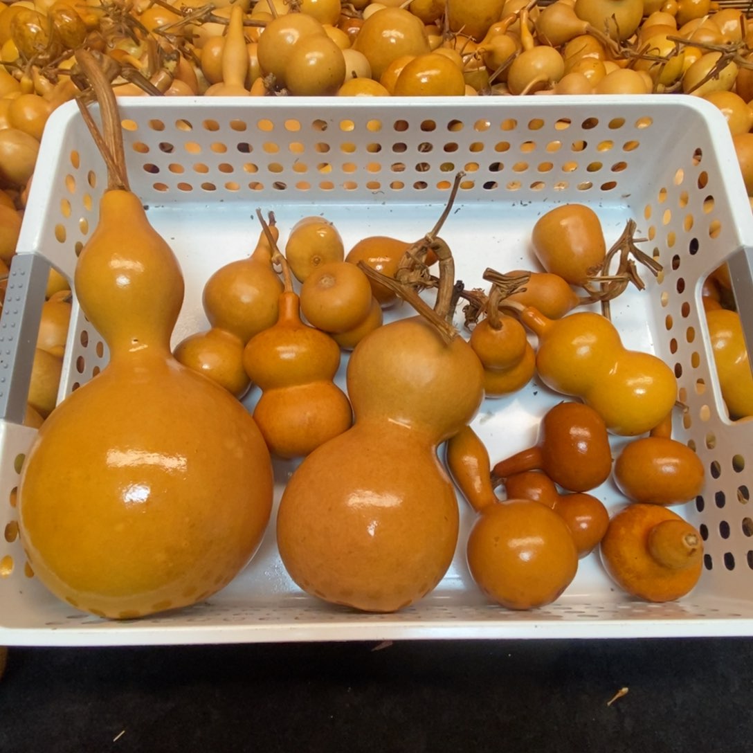 T****万直播间链接一物一图