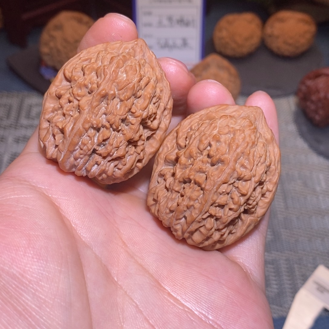 36尺 全品无修白茬 25头茬 大蒜头