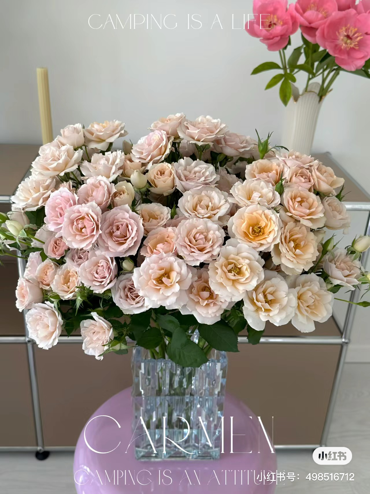 【俏夕阳】高贵沙拉 任三单顺丰空运包邮鲜切花家居花店插花