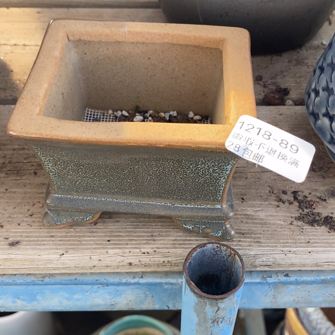 89号多肉盆口径7小可爱