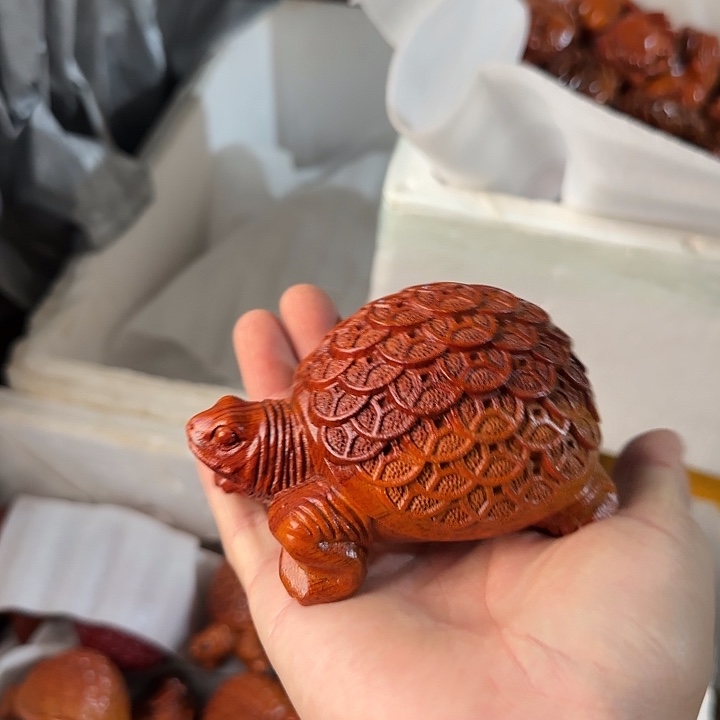 木花梨木12金钱龟一只