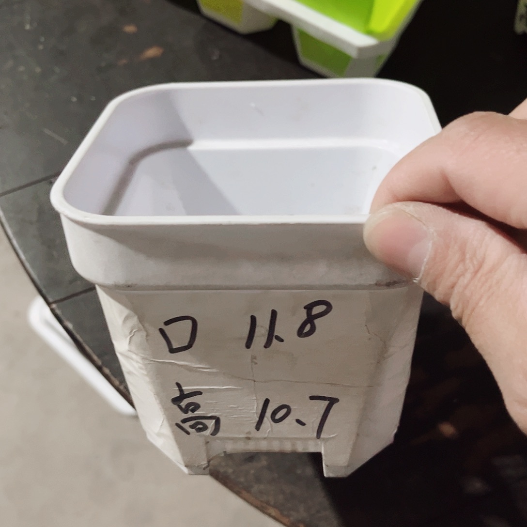 塑料加厚矮胖12方白色盆10个无托