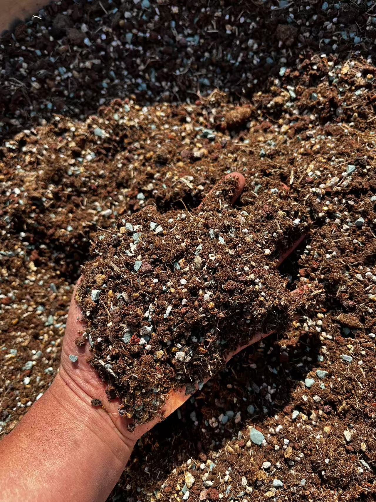 进口土 老桩控养好土 养护 一单包邮 