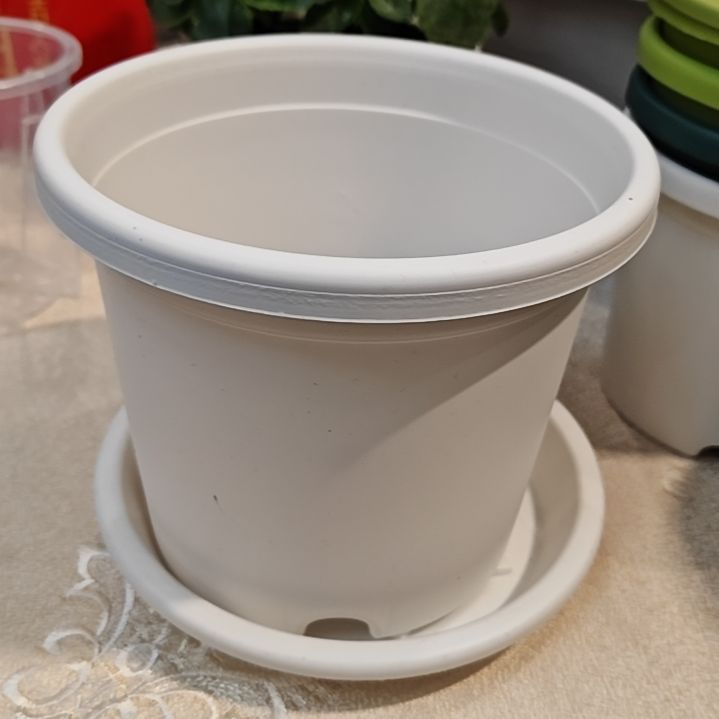 树脂四季盆外口径17，白色带托5个
