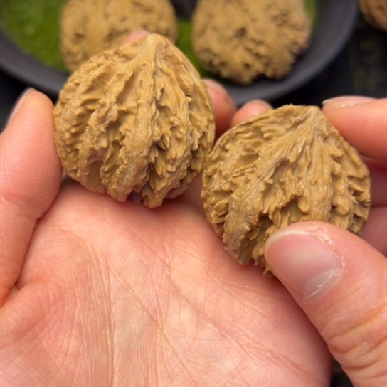 文玩核桃把件秦岭核桃30