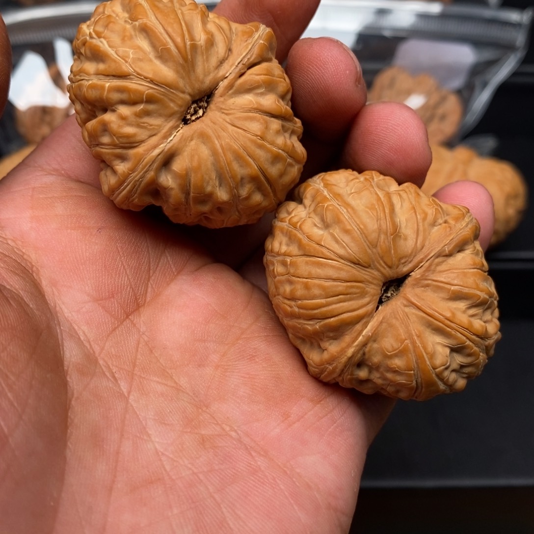 煎***子元宝狮子头 盘刷后不退不换