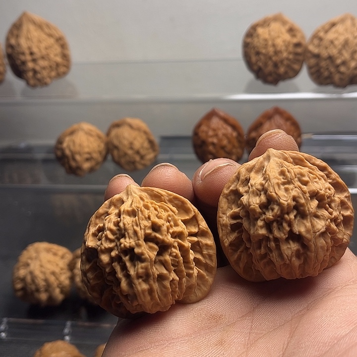 桃核吊坠43蟠龙纹…………