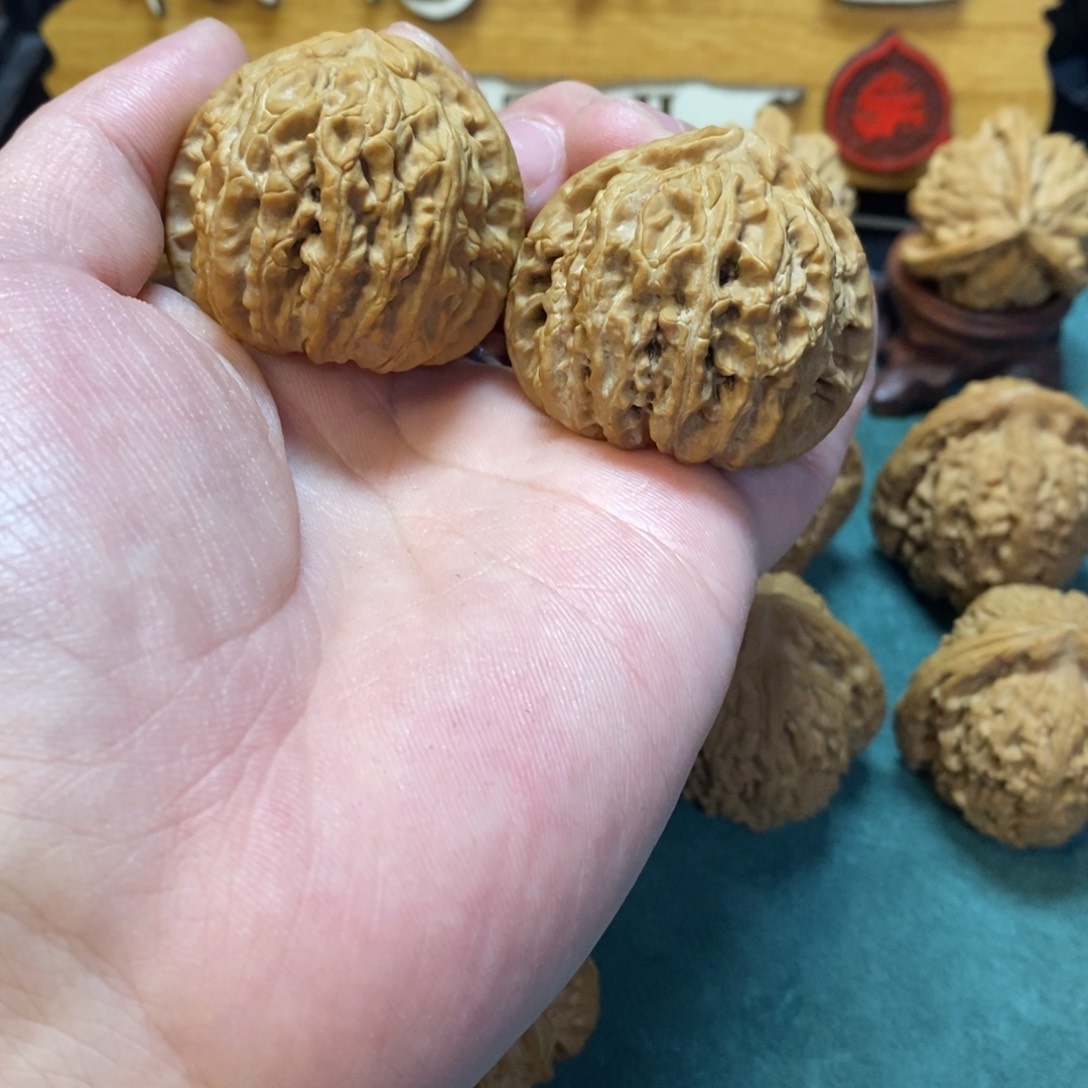 文玩核桃把件白狮子40全品