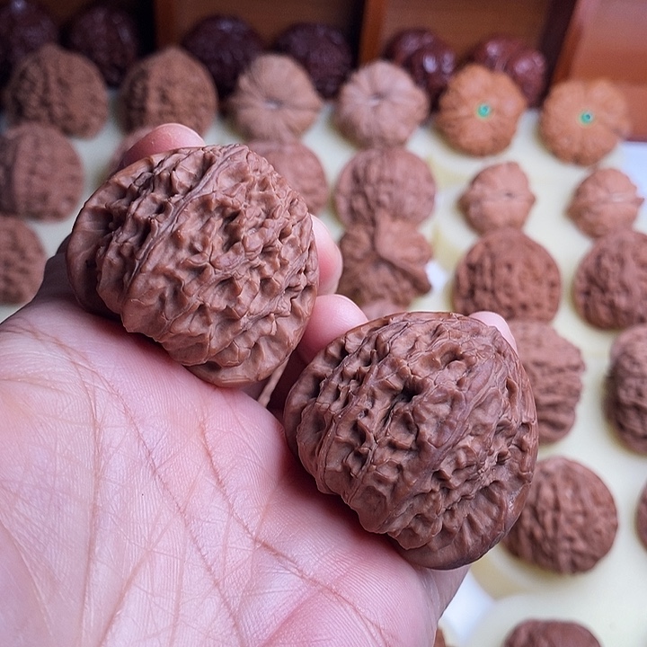 【闪购商品】文玩核桃把件40三角白