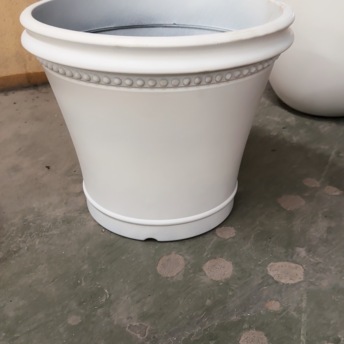 【闪购商品】月*卡洛白色3个