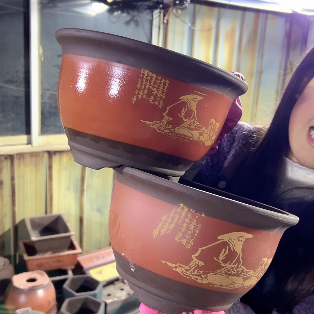 25+25红色孔夫子三角金钟花盆