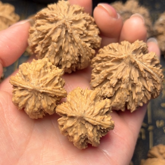 文玩核桃吊坠秦岭核桃12